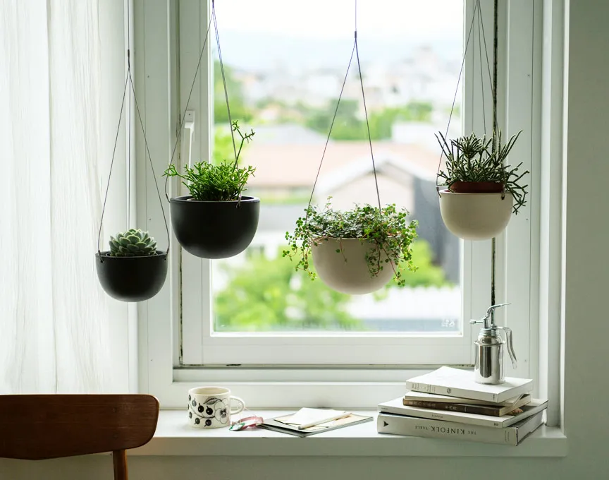 株式会社クラシコム：Meta Advantage+ オーディエンスの採用でリーチ単価が18%減少